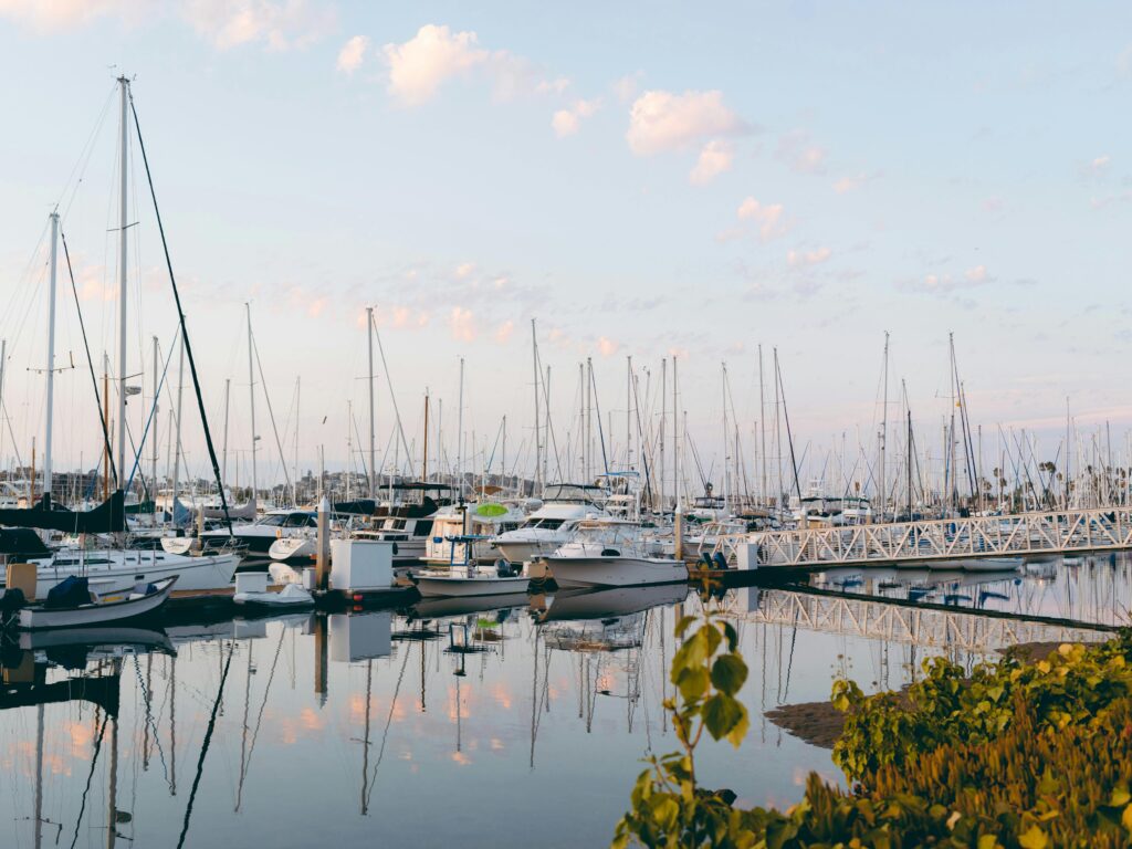 pexels matthardy 3560372