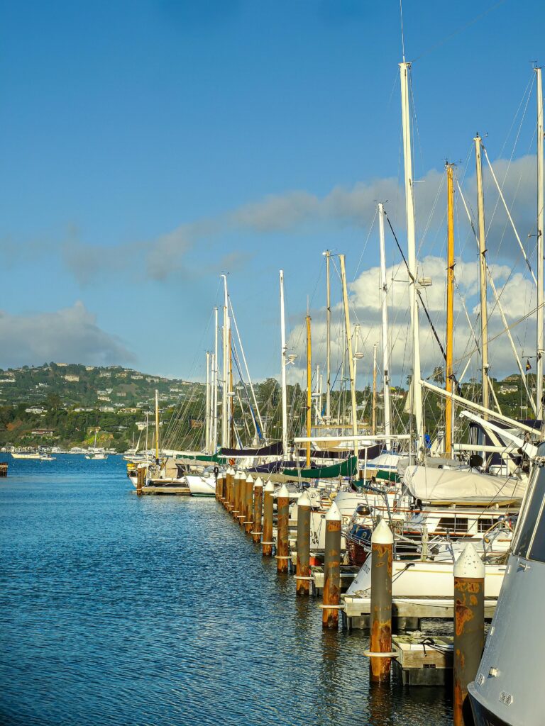 pexels davidmcelwee 19852450